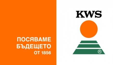 KWS Стажантска програма