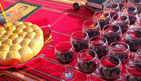 ПРАЗНИК НА ЛОЗАРО-ГРАДИНАРСКИЯ ФАКУЛТЕТ И ДЕНЯ НА ЛОЗАРЯ В АГРАРНИЯ УНИВЕРСИТЕТ