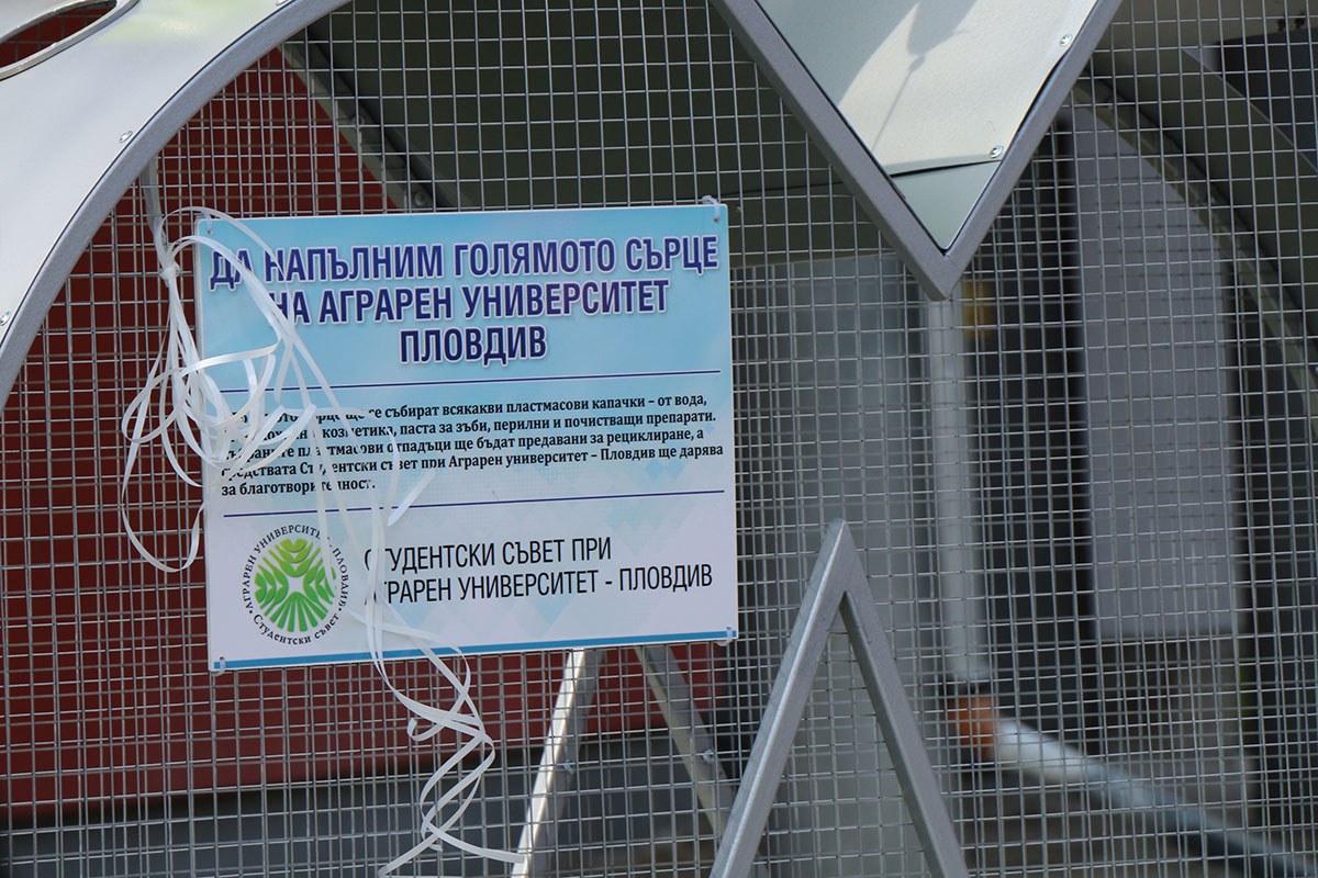 Голямото сърце на АУ