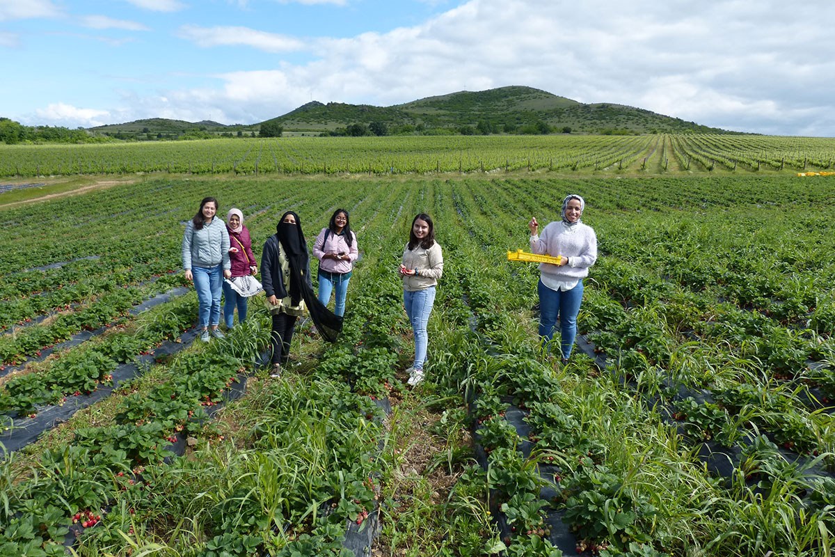Учебна практика по Биологично земеделие на Еразъм студентите от „Erasmus Mundus Master in Soil Science – emiSS”