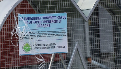 Голямото сърце на АУ