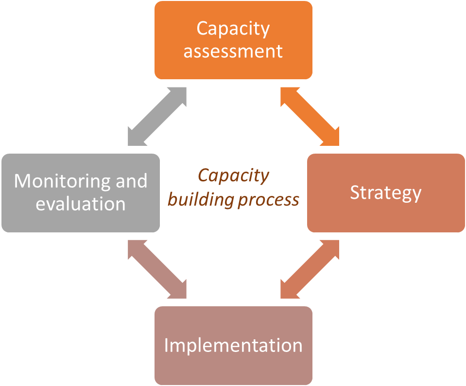 capacity_building.png#asset:8245