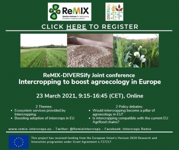 ReMIX Final Conference: registrations are now open