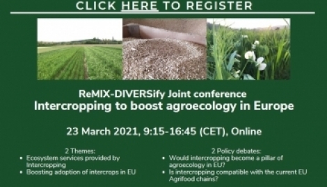 ReMIX Final Conference: registrations are now open