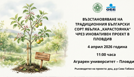 Възстановяване на традиционния български сорт ябълка „Карастоянка“ чрез иновативен проект в Пловдив