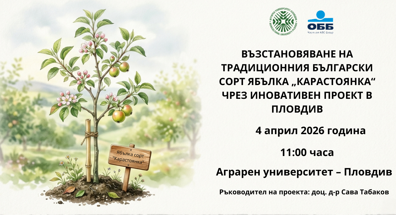 Възстановяване на традиционния български сорт ябълка „Карастоянка“ чрез иновативен проект в Пловдив