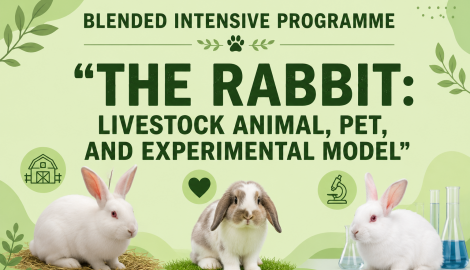 Blended Intensive Programme (BIP) The Rabbit: Livestock Animal, Pet, and Experimental Model