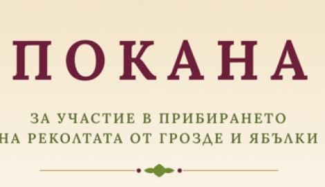 Покана за участие в брането и сортирането на продукцията