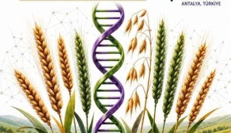 EUCARPIA CEREALS SECTION CONFERENCE