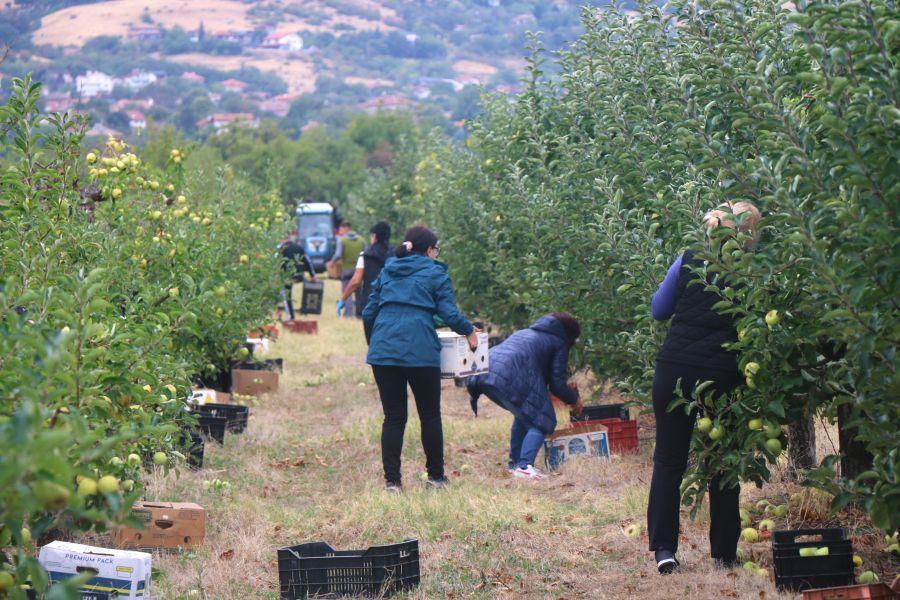 С гордост и признателност към нашата университетска общност