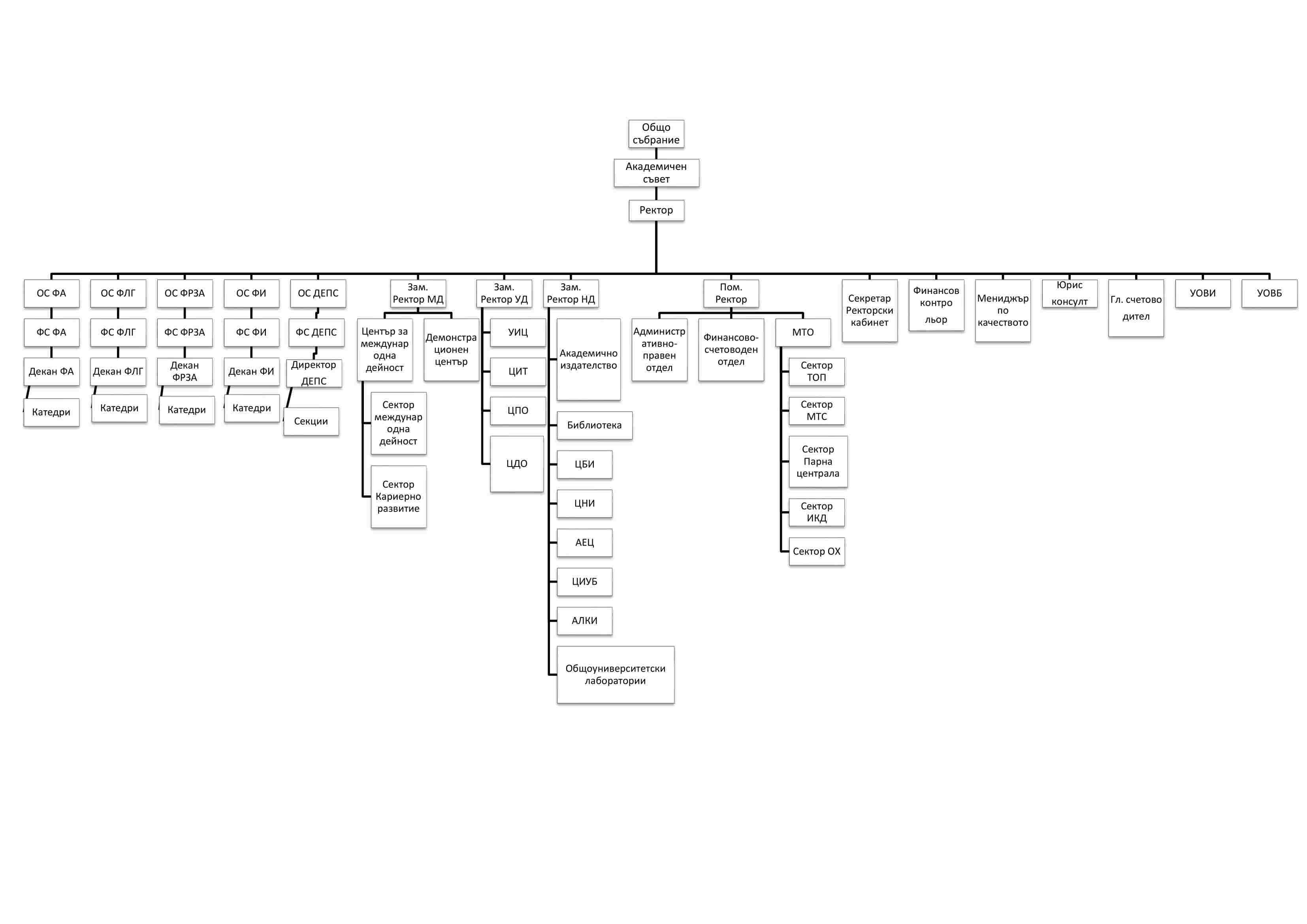 Organigrama2-1.jpg#asset:1521