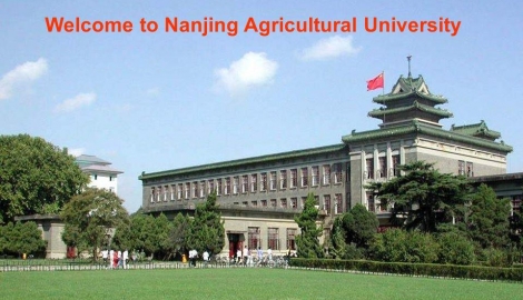  Стипендии за магистърска или докторска степен, предлага Nanjing Agricultural University