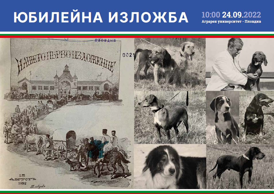 Честваме юбилей на Българската федерация по кинология със селекционна изложба на български породи кучета