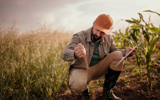 Фирма „Гард Инвест“ ООД търси да назначи младши агроном 